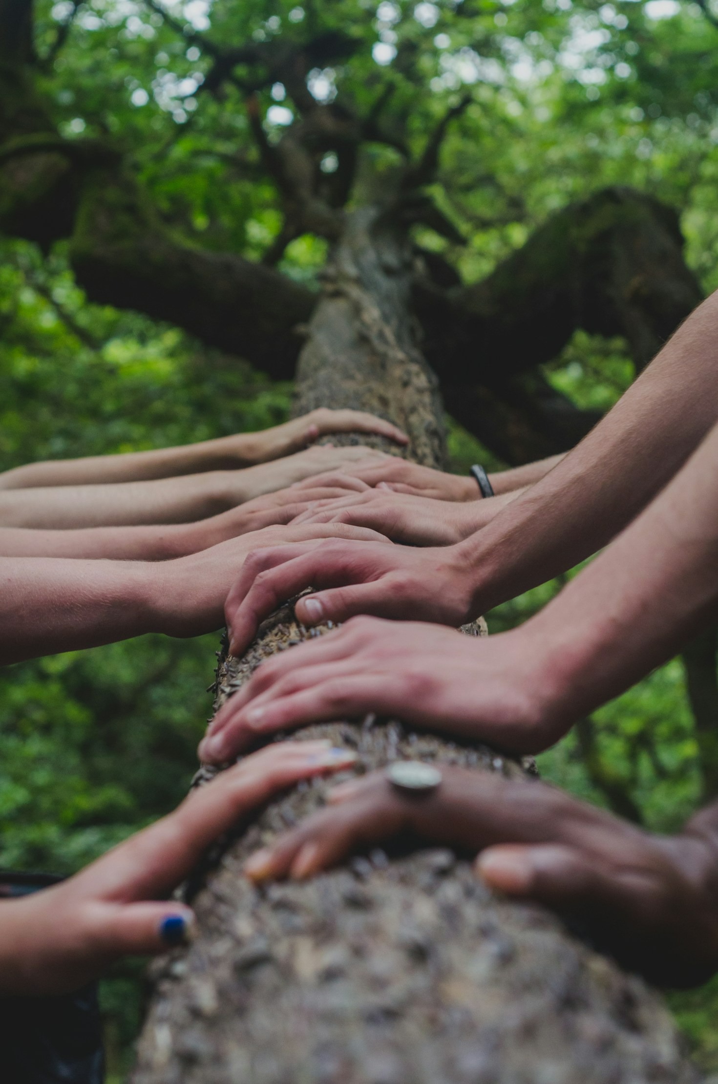 Finding Caring Professionals: A Comprehensive Guide